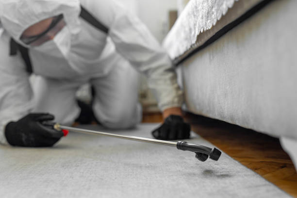 Professional Pest Control technician working in Dutch Island, GA