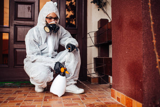Reliable Emergency Pest Control contractor in Dutch Island, GA by Nex Pest Control