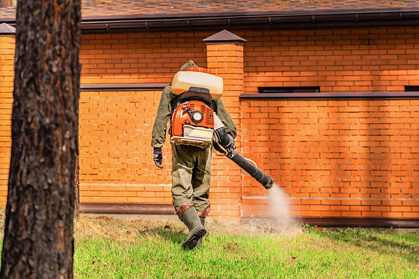 Trusted Cockroach Control service in Dutch Island, GA - Nex Pest Control